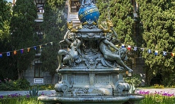 IMG