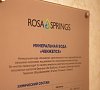 Отель «Роза Спрингс» Роза Хутор (Красная Поляна) #29