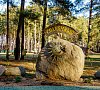Солнечный Брестская область цены