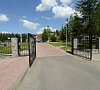 Сосны Гомельская область цены