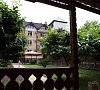 Кипарис Пицунда