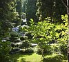 Клиника «Nature Clinic» Алушта