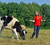 Отельный комплекс Лесное #52