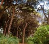 Вилла «Карасан» Алушта, Крым #42 Вилла «Карасан» Алушта, Крым #42
