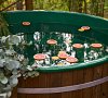View Ga Forest SPA Ленинградская область View Ga Forest SPA Ленинградская область