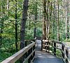 Pine River Варшавское шоссе