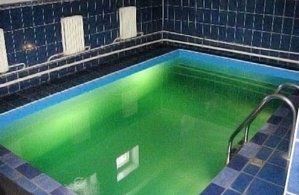 Фотографии объекта
							Санаторий «Подъельники»