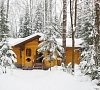Березовая роща Дмитровское шоссе