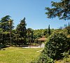 Аврора (Аше) Сочи