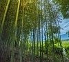 Отель Акалам Кантри Клаб Пицунда