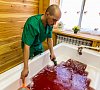 Золото Алтая Республика Алтай