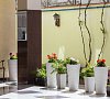 Отель Stella Maris Hotel Сочи фото