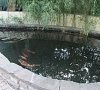 Отель «Ласточкино гнездо» Геленджик #23