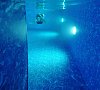 Отель Цезарь Прибрежное