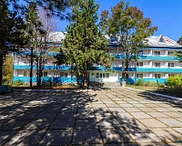 Отель Химик (Пляхо)