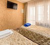 Кипарис Дивноморское цены