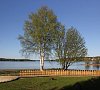 «Шале Лесные ягоды» Карелия