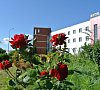Ярославское Подворье Ярославская область