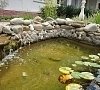 Отель «Сурож» Судак, Крым #27