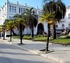 Александрия Сухум - официальный сайт