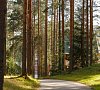 Сосновка(Вологодская область) Вологодская область