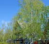Одиссей Учкуевка - официальный сайт