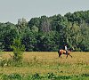 Отельный комплекс Лесное #45