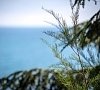 Курортный комплекс «Эко Вилладж» Алушта, Крым #17