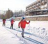 Крутушка Татарстан цены