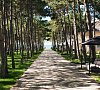 Отель Alma Park Resort Песчаное