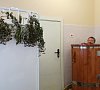 Санаторий «Журавушка» #55