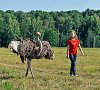 Отельный комплекс Лесное #54