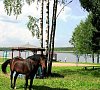 Санаторий «Лесное» #57