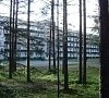 Санаторий Восток-6 Зеленогорск
