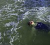 Отель Дубровинский Тюменская область