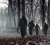 Отель «Фореста Фестиваль Парк» Чеховский район #18