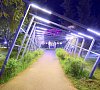 Отель VE art resort 4* Минское шоссе