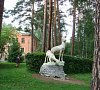 Сосновая горка Челябинская область цены