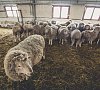 Отельный комплекс Лесное #49