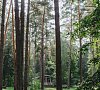 Pine River Варшавское шоссе цены