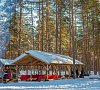 Деревня Мандроги Ленинградская область #49