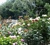 Отель «Зеленый мыс» Ялта, Крым #14
