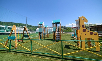 IMG