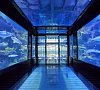 «PARAGRAPH RESORT & SPA» Шекветили, Грузия #18