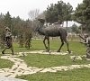 Санаторий Chinar Hotel & SPA Naftalan Азербайджан