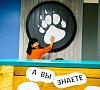 Приют Панды Роза Хутор цены