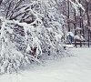 Отель «Фореста Фестиваль Парк» Чеховский район #33